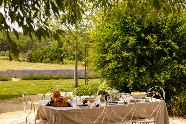 Feriebolig i Saint-Rémy-de-Provence, Alpillerne