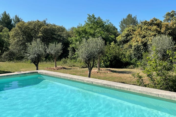 43 - Provence retrouvée: Villa: Pool
