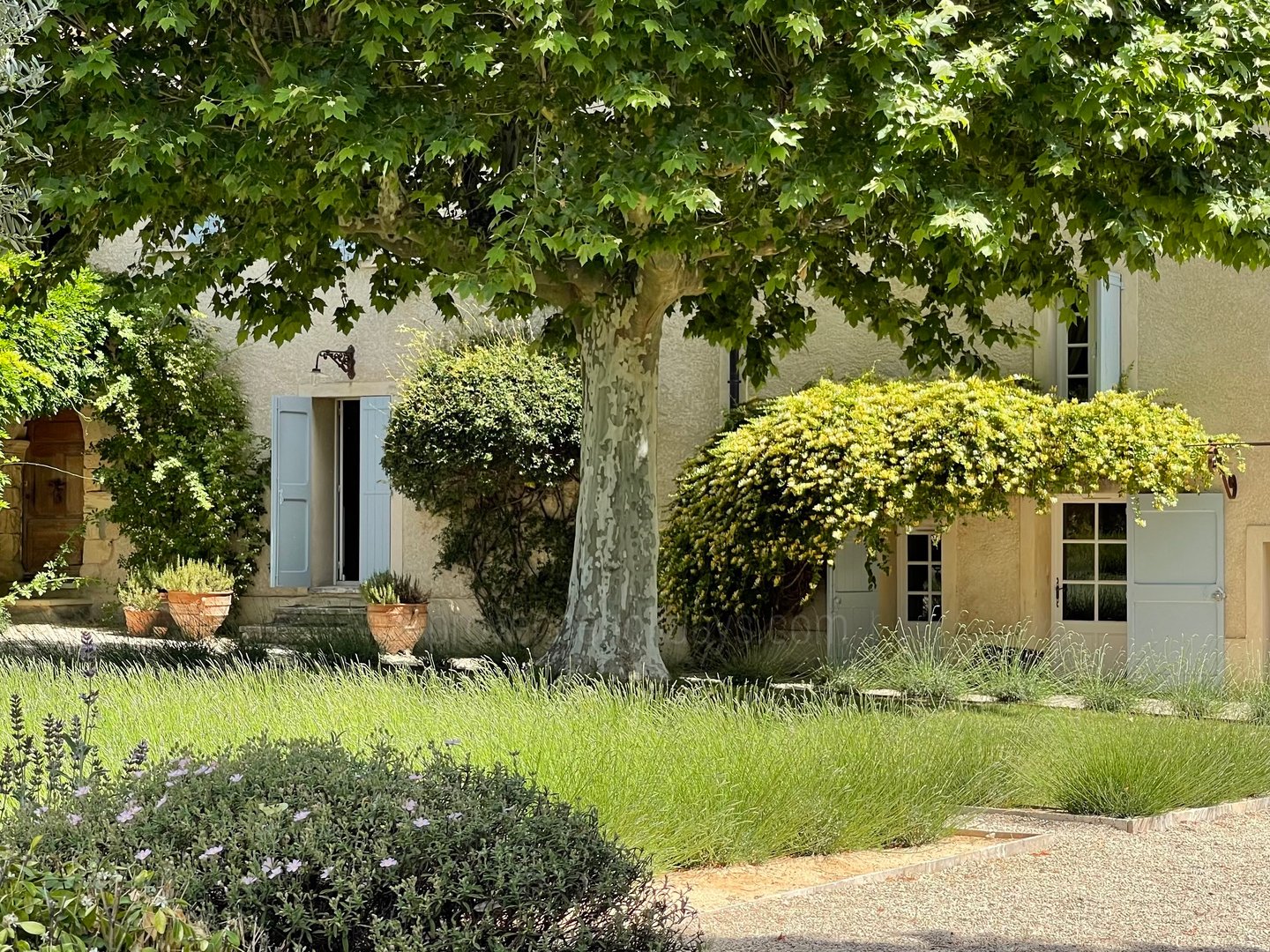 2 - Mas Pasquette: Villa: Exterior