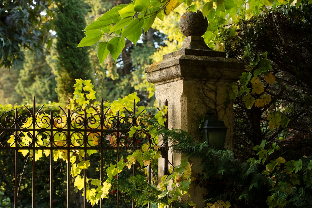 21 - Domaine de Mouriès: Villa: Exterior