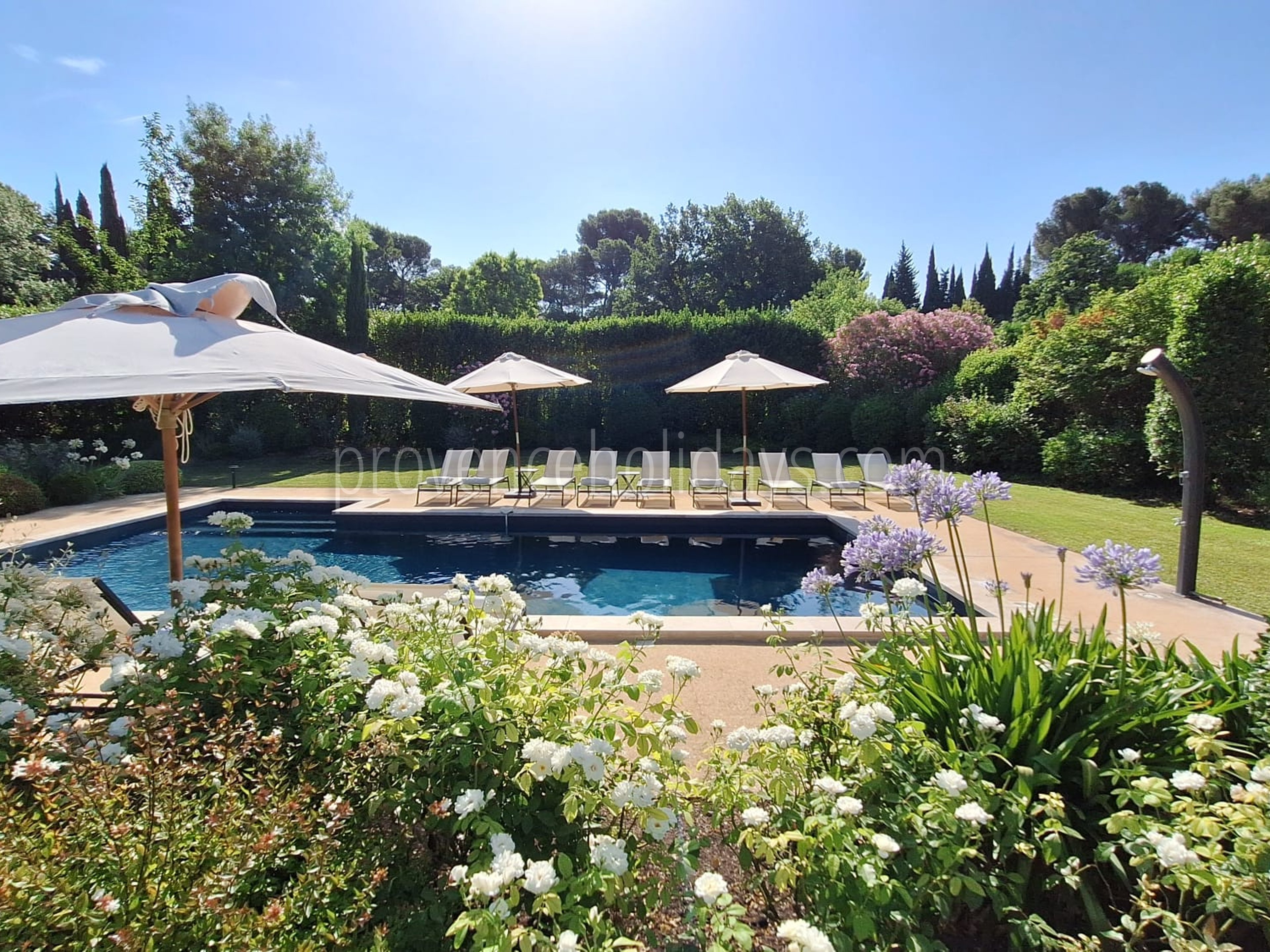 1 - Chez Alare: Villa: Pool