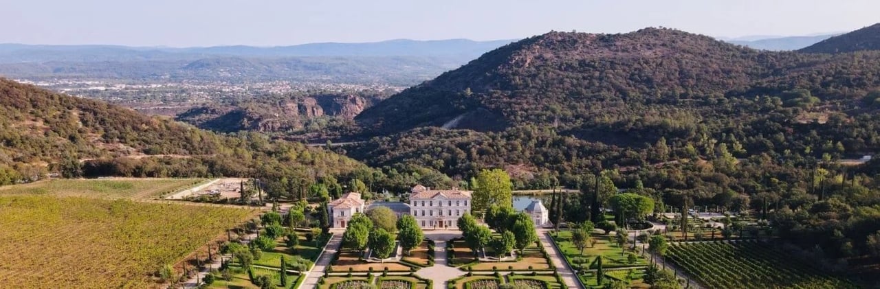 vineyard provence