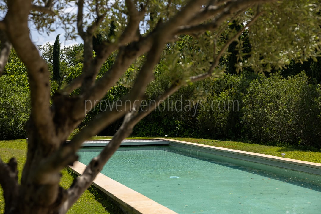 15 - Le Moulin de Vaucroze: Villa: Pool