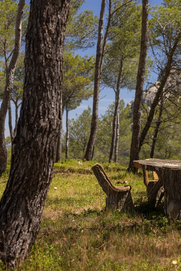 villa trees