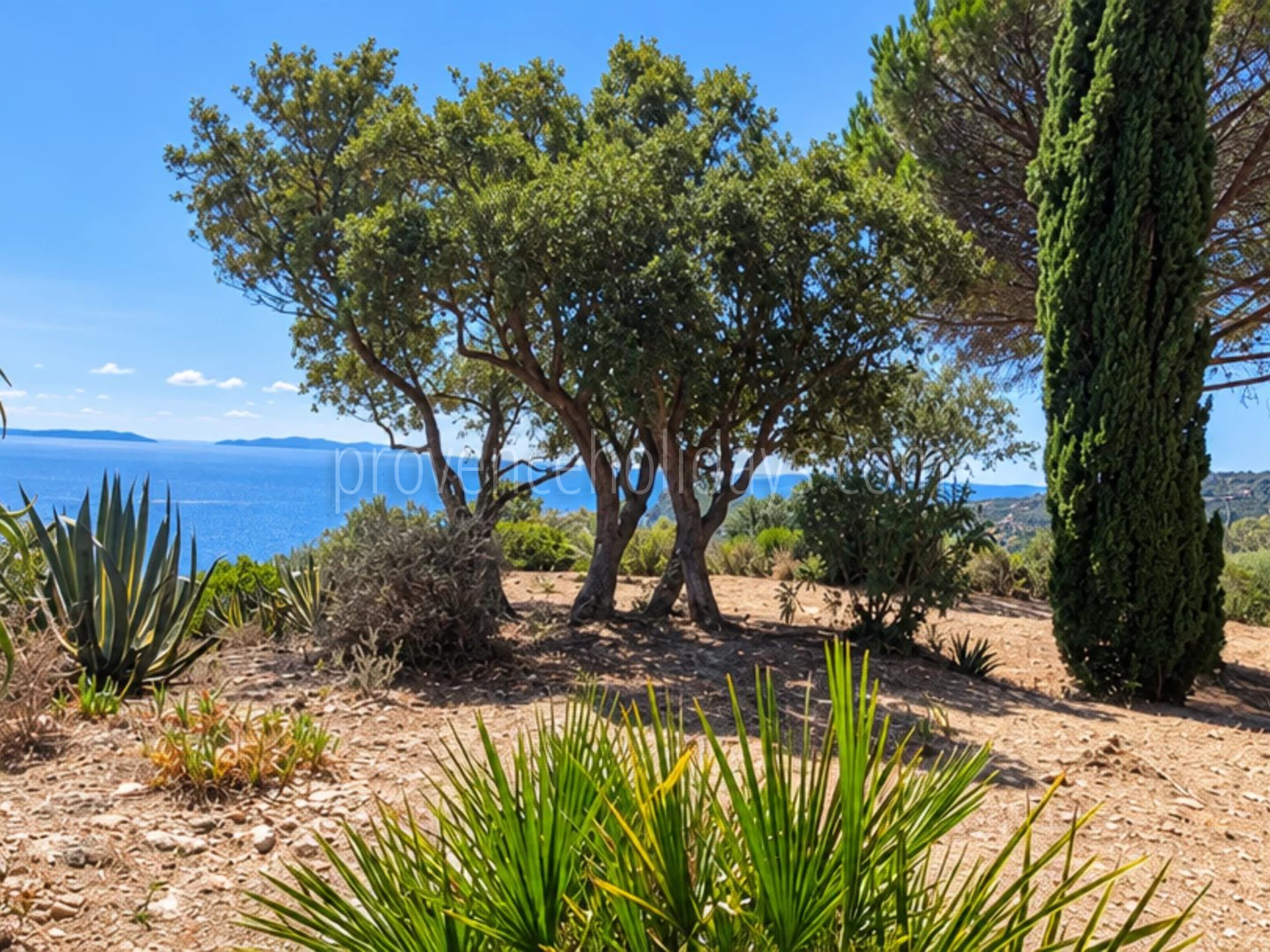 15 - Te renoveren villa in Rayol-Canadel-sur-Mer: Villa: Exterior