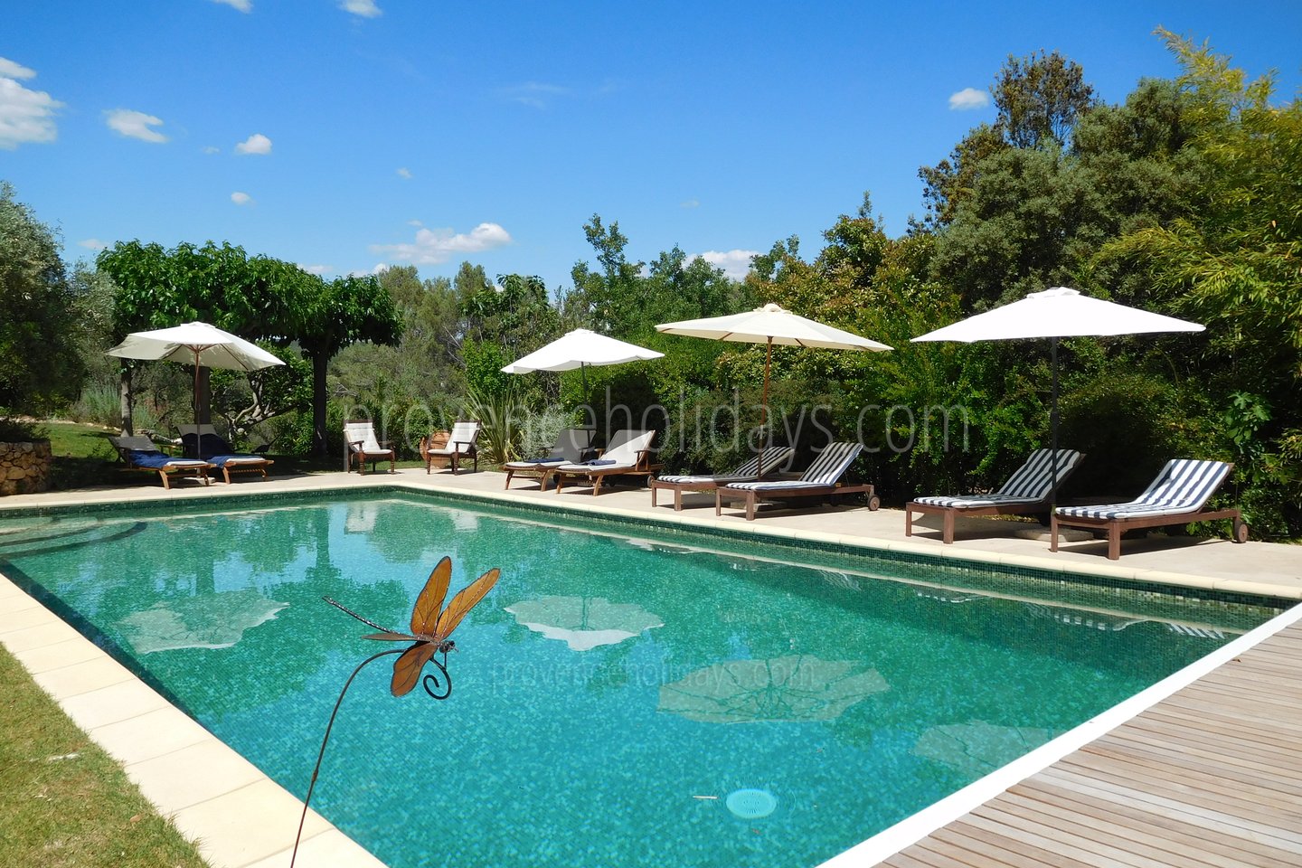 1 - Mas Lorgues: Villa: Pool
