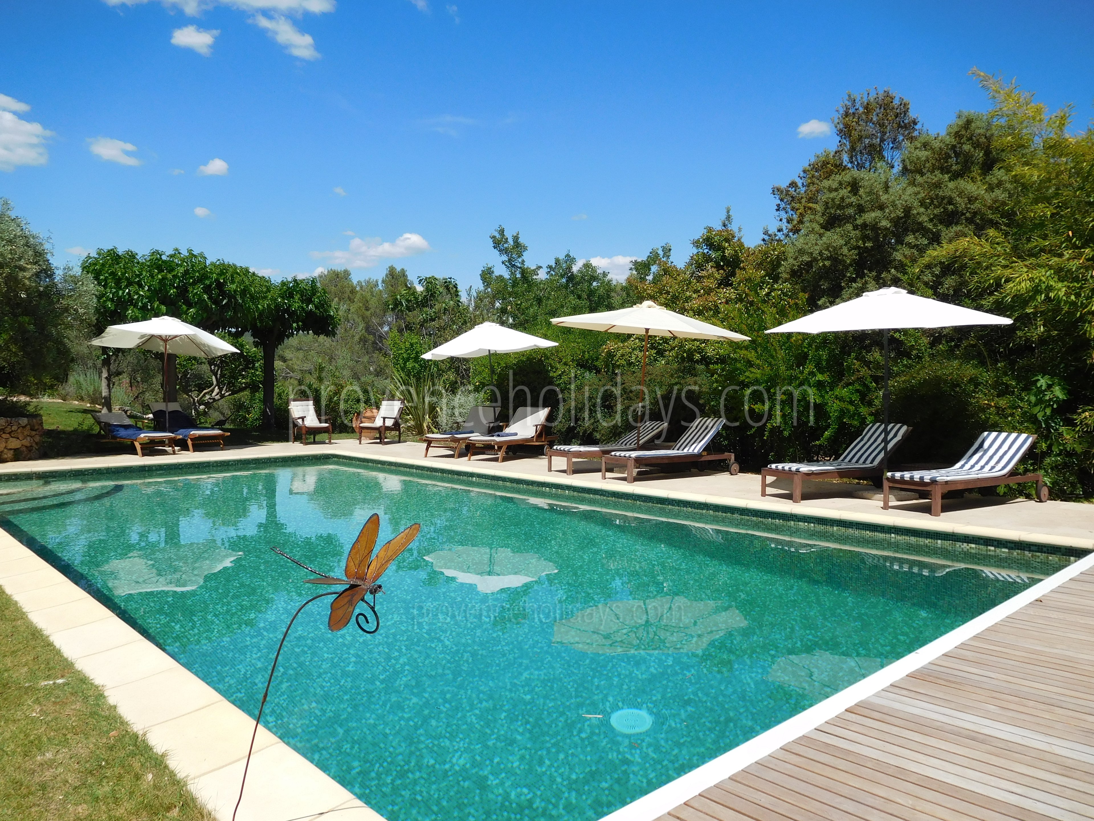 1 - Mas Lorgues: Villa: Pool