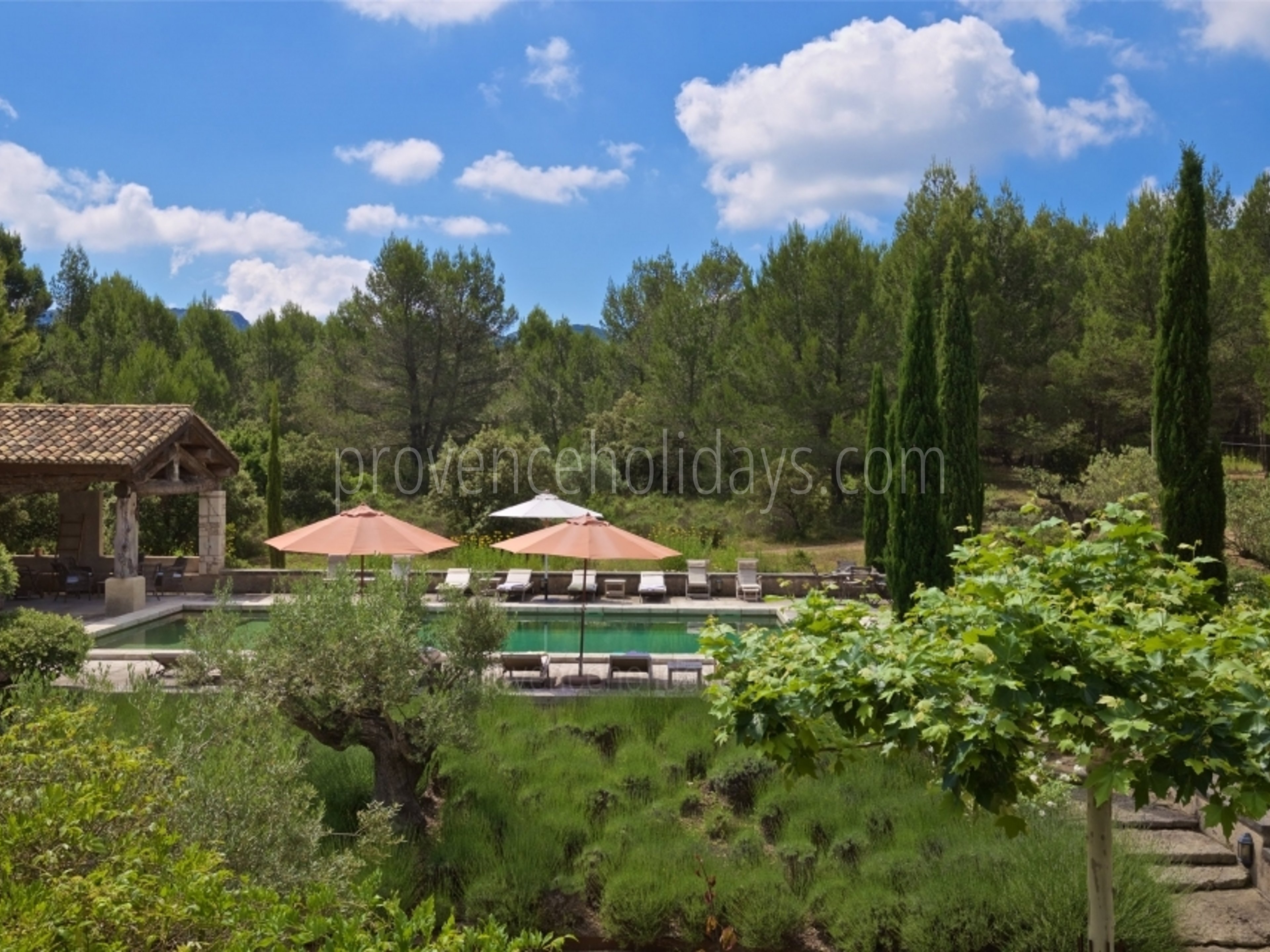 6 - Le Mas des Lavandes: Villa: Exterior