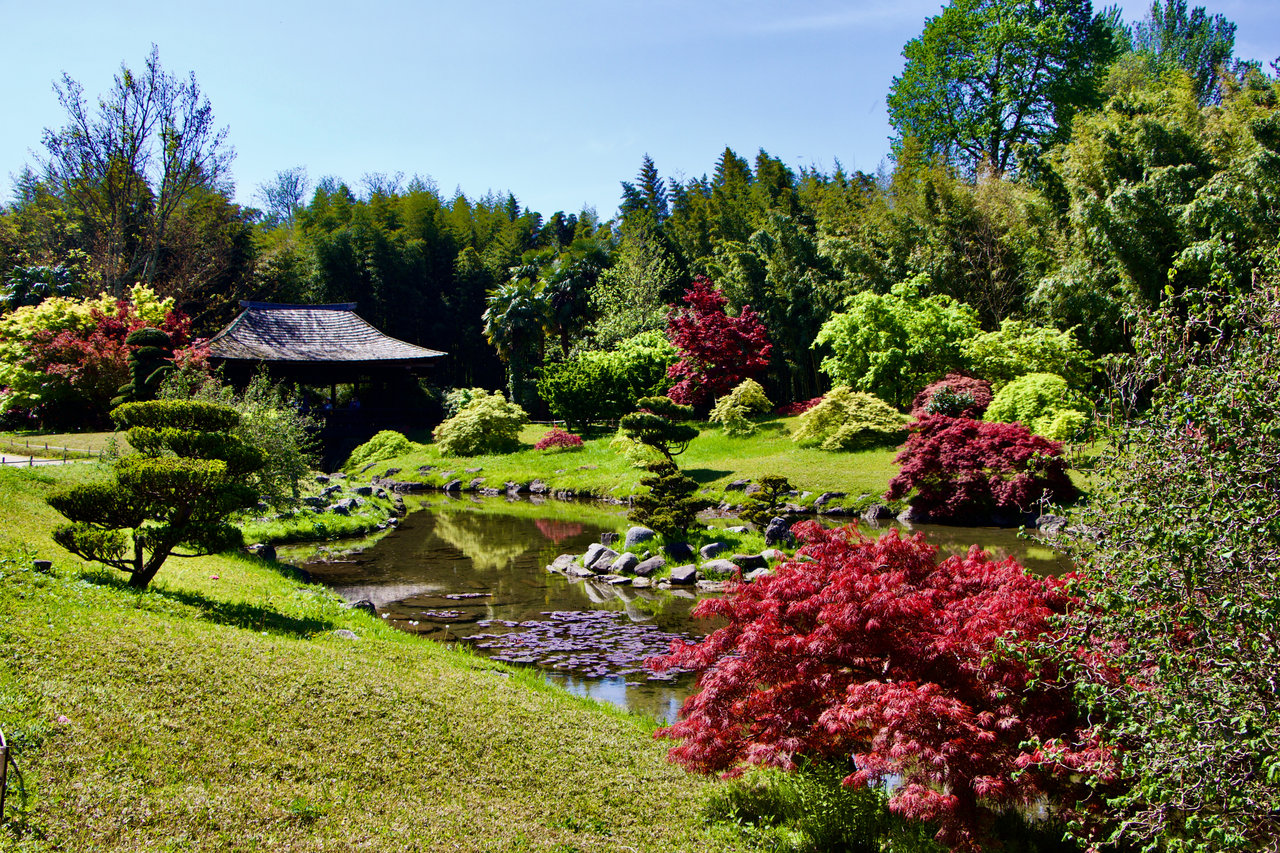provence garden