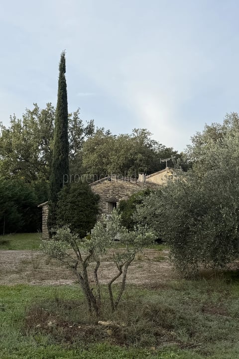 House to renovate in Ménerbes - 2