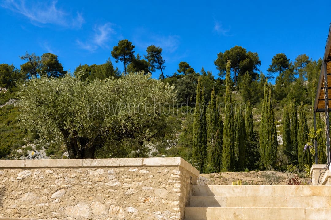 60 - Le Loup des Alpilles: Villa: Exterior