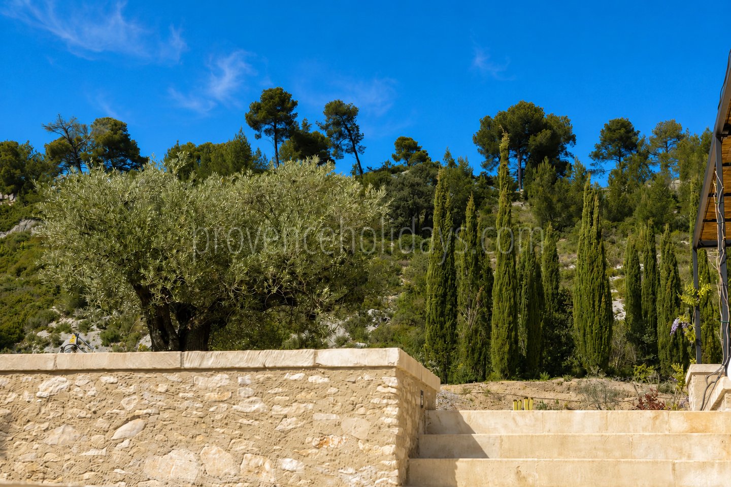 60 - Le Loup des Alpilles: Villa: Exterior
