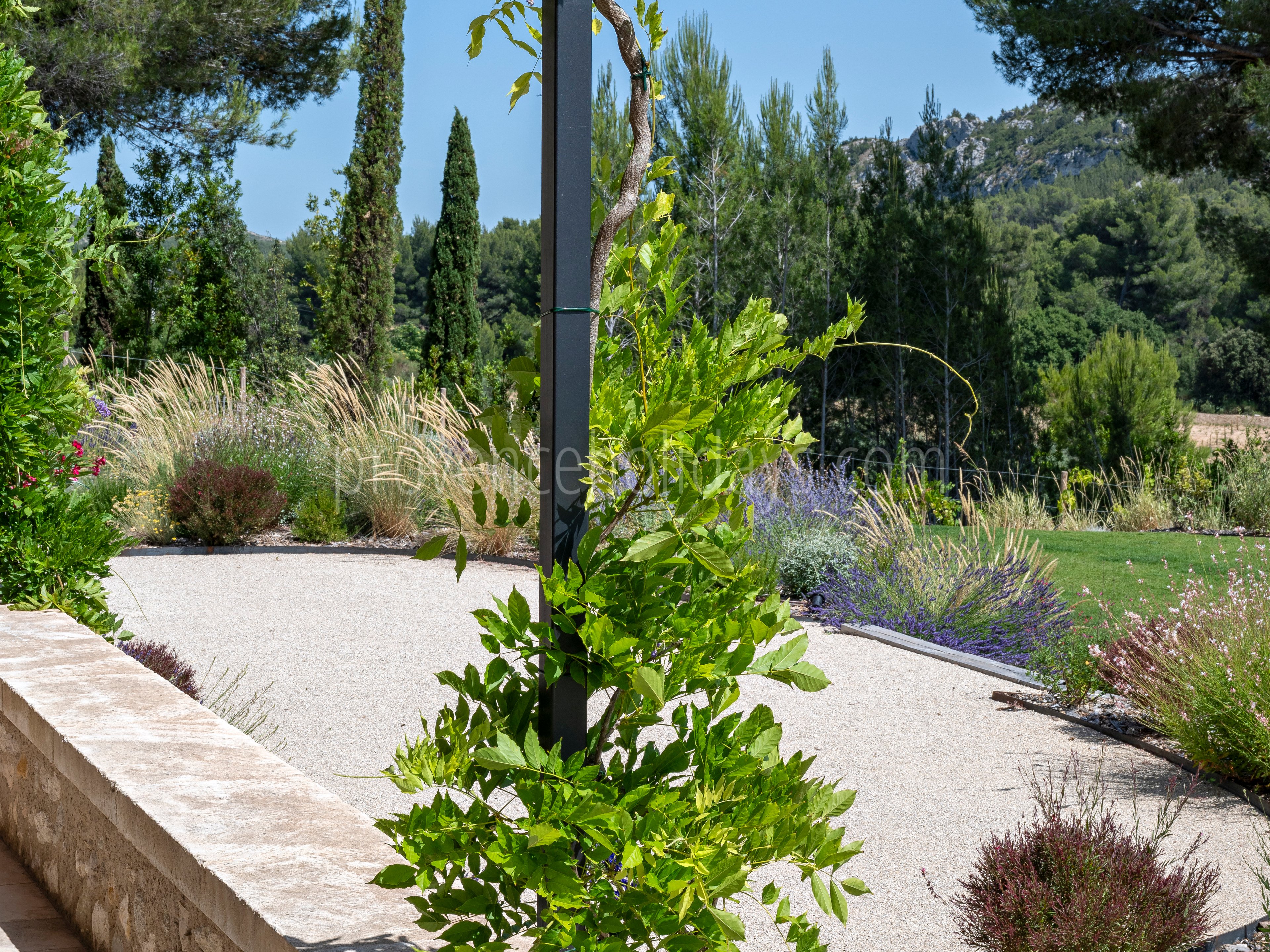 182 - Le Loup des Alpilles: Villa: Exterior
