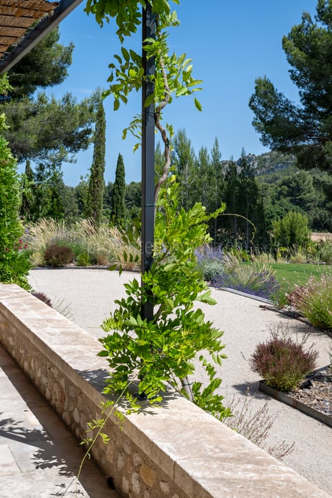 182 - Le Loup des Alpilles: Villa: Exterior