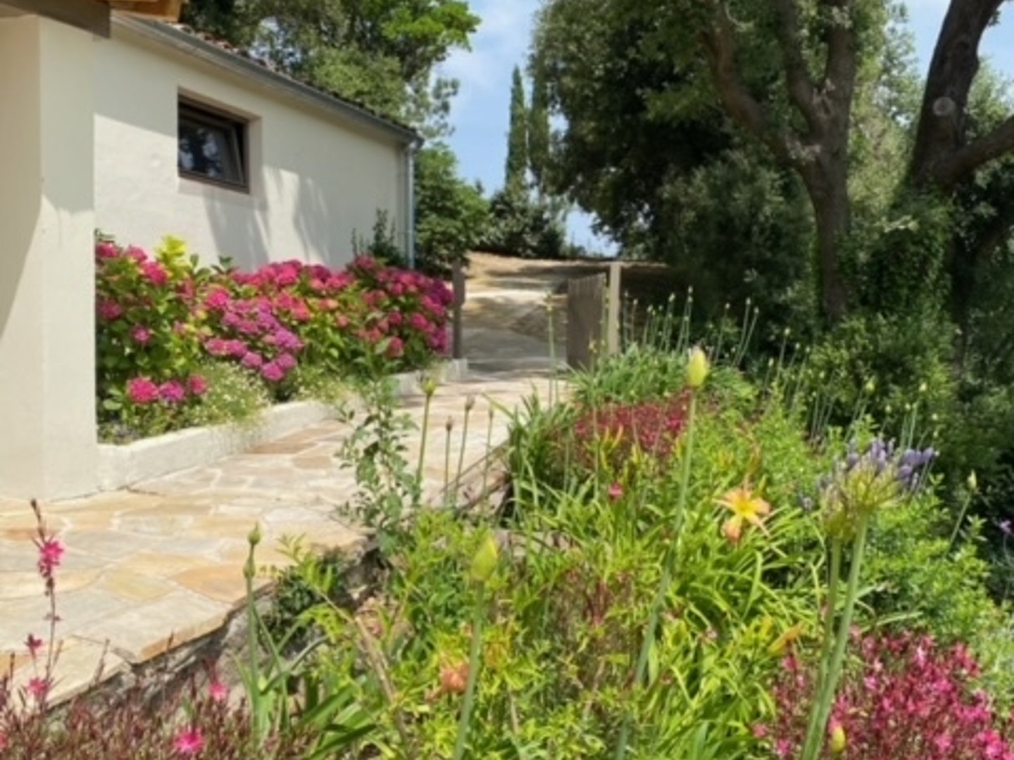 46 - Villa Secrète : Villa: Exterior