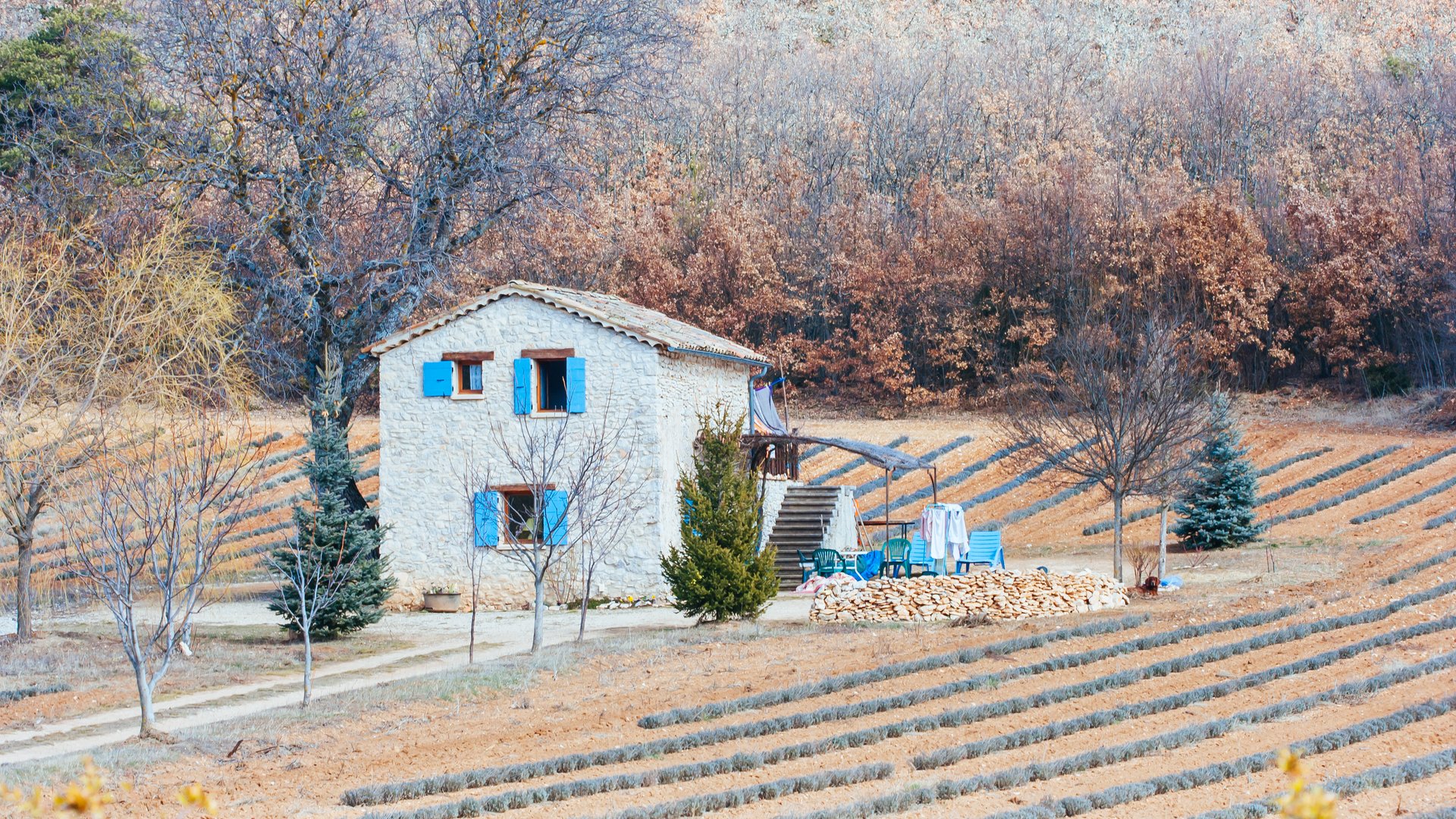 Provence winter