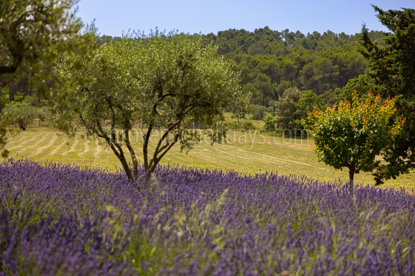 37 - Le Mas Secret: Villa: Exterior