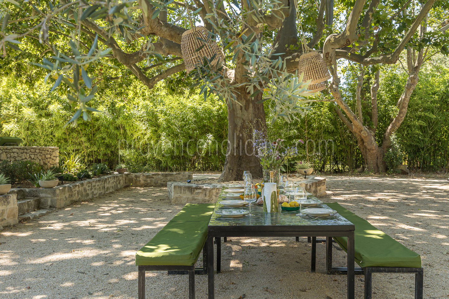 36 - Domaine du Grand Platane: Villa: Exterior