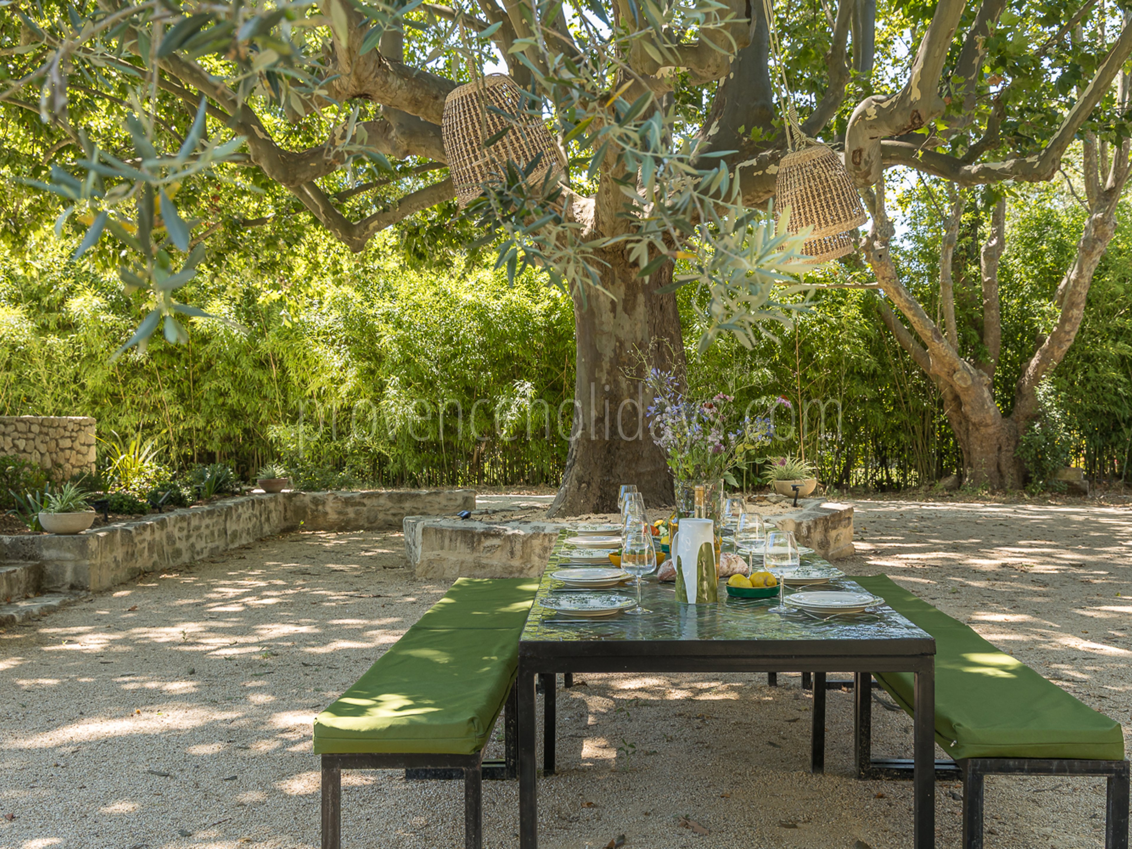 36 - Domaine du Grand Platane: Villa: Exterior