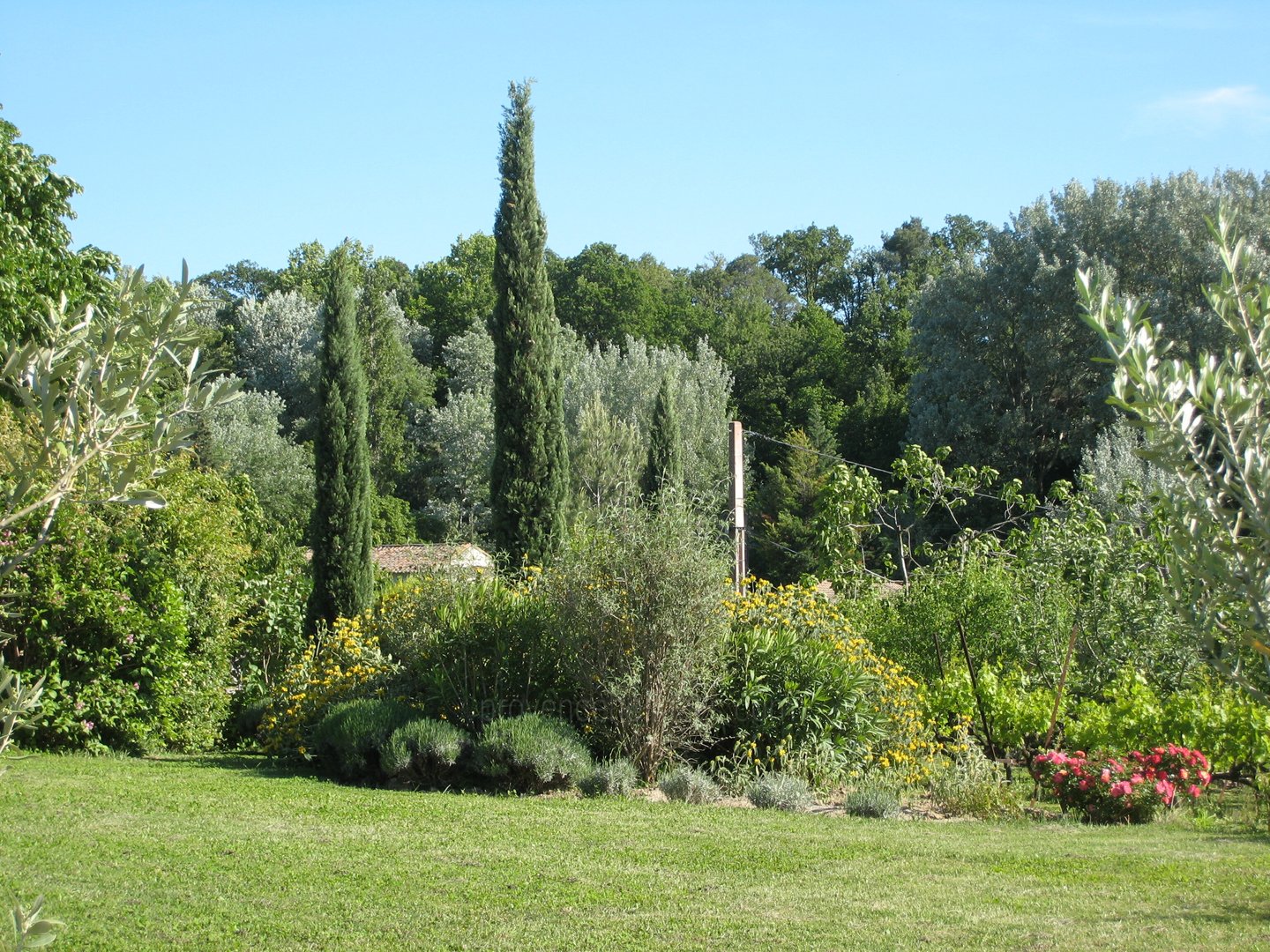 16 - Chez Martine: Villa: Exterior