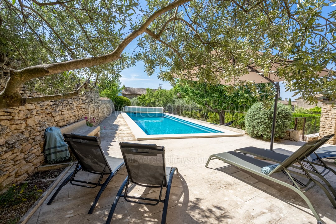 8 - Mas des Aires: Villa: Pool