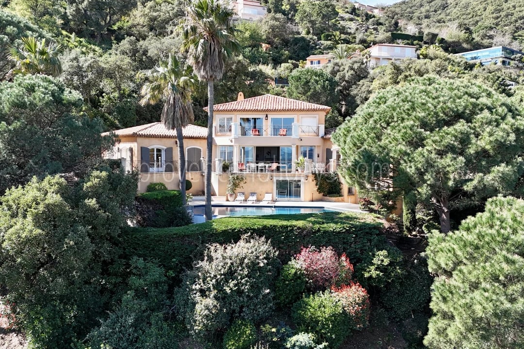 42 - Villa mit Kamin in Cavalaire-sur-Mer: Villa: Exterior