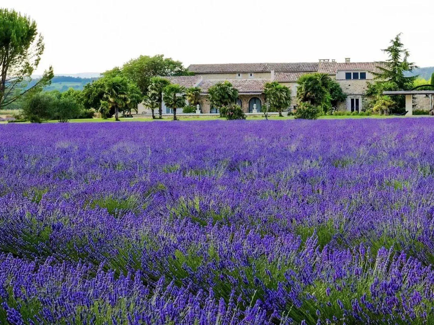 15 - Bonnieux Mas: Villa: Exterior