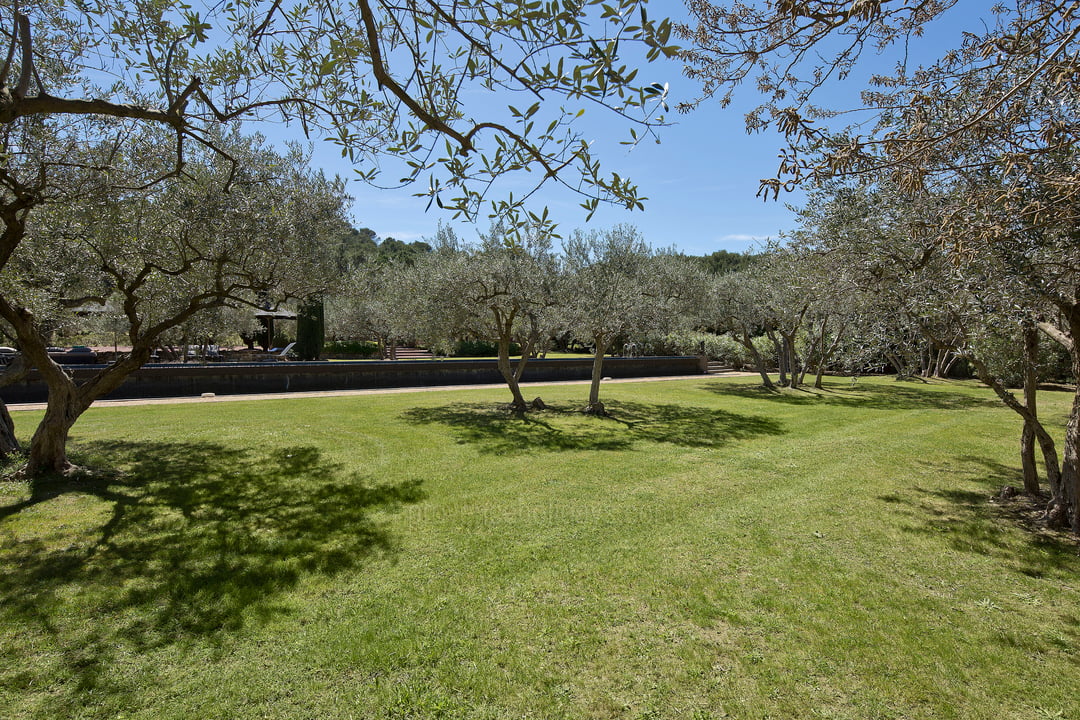 20 - Mas des Alpilles: Villa: Exterior