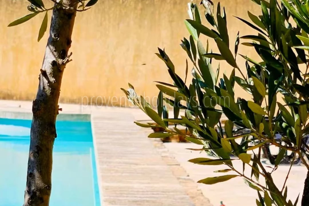 27 - Mas with pool in Bonnieux: Villa: Pool