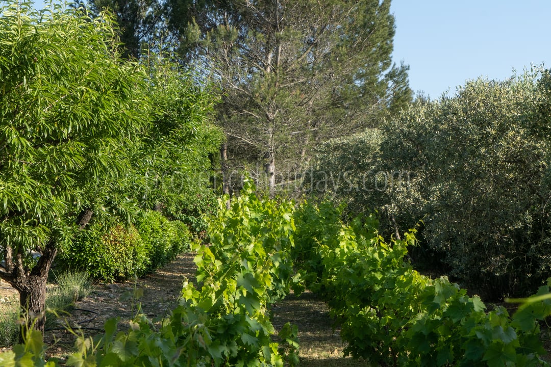 47 - Mas des Aupiho: Villa: Exterior