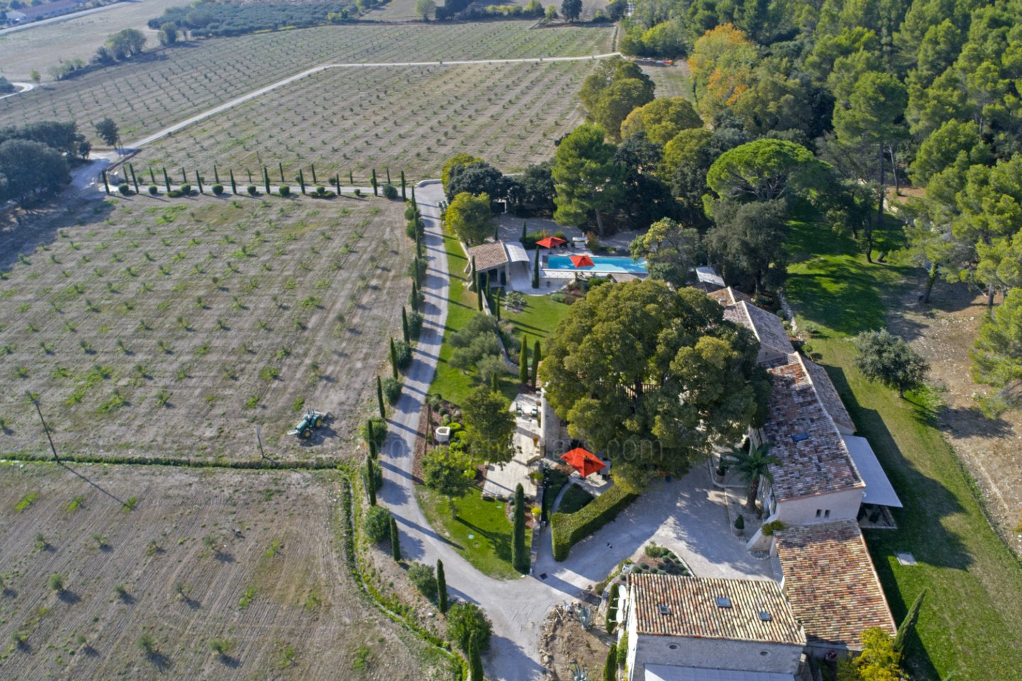 9 - Domaine Bernard: Villa: Exterior