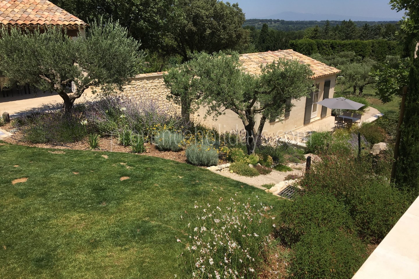 13 - Le Mas Provençal: Villa: Exterior