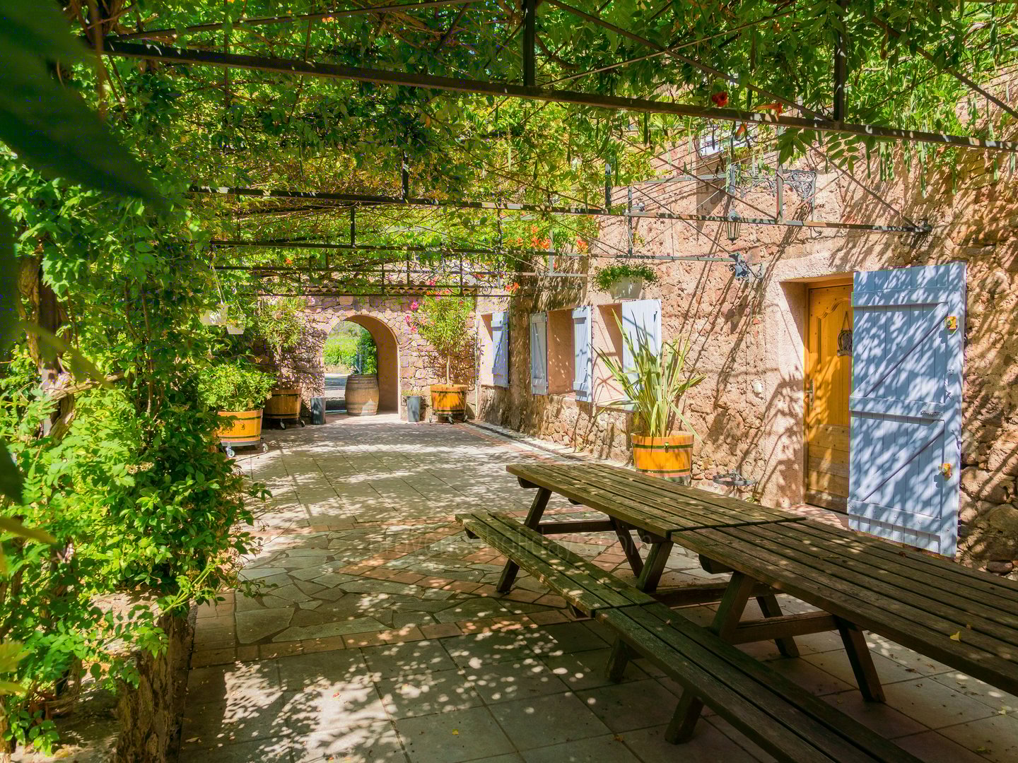 41 - Bastide du Var: Villa: Exterior