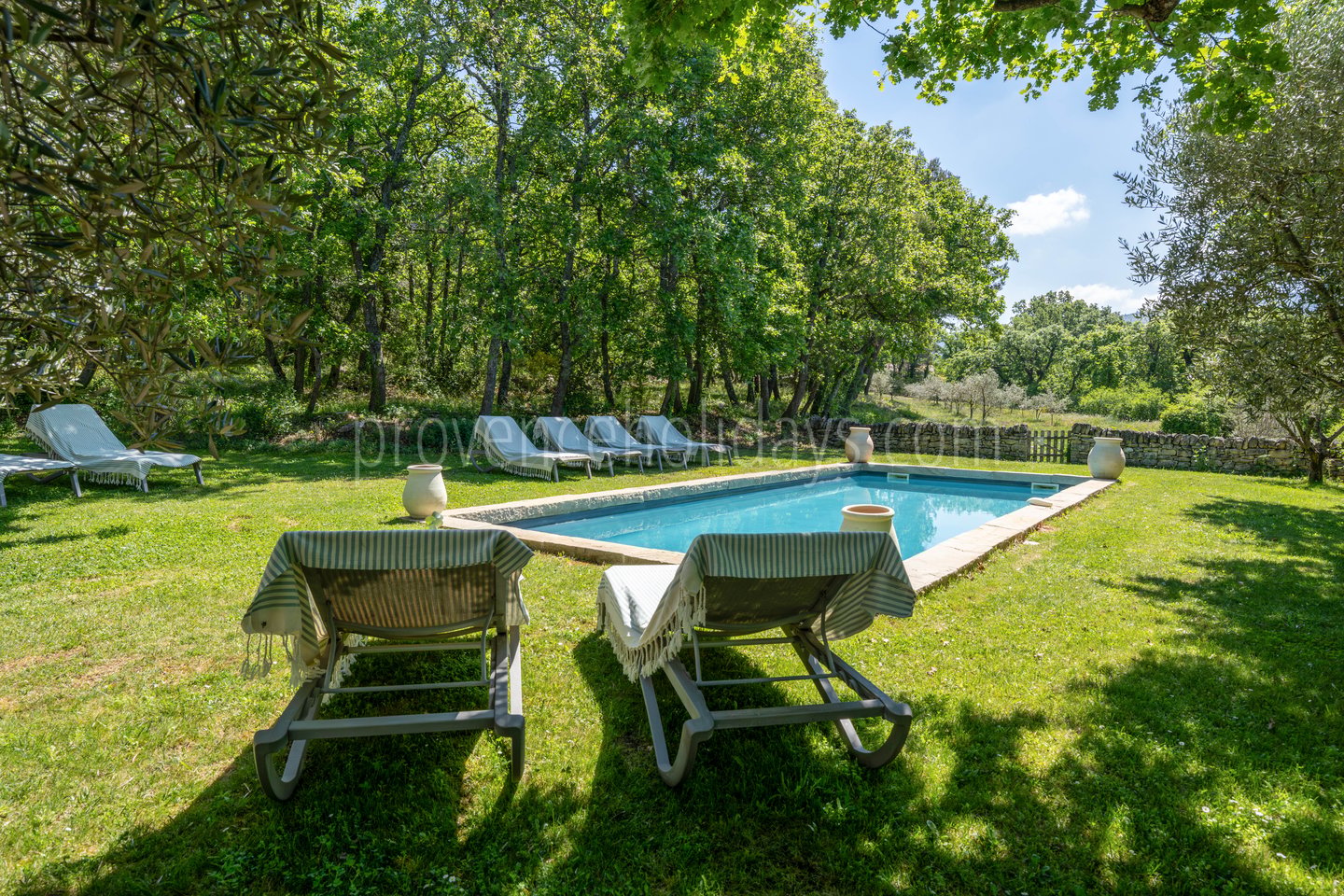 30 - Les Oliviers: Villa: Pool
