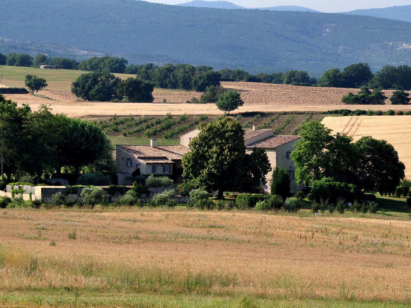 21 - Mas Pasquette: Villa: Exterior