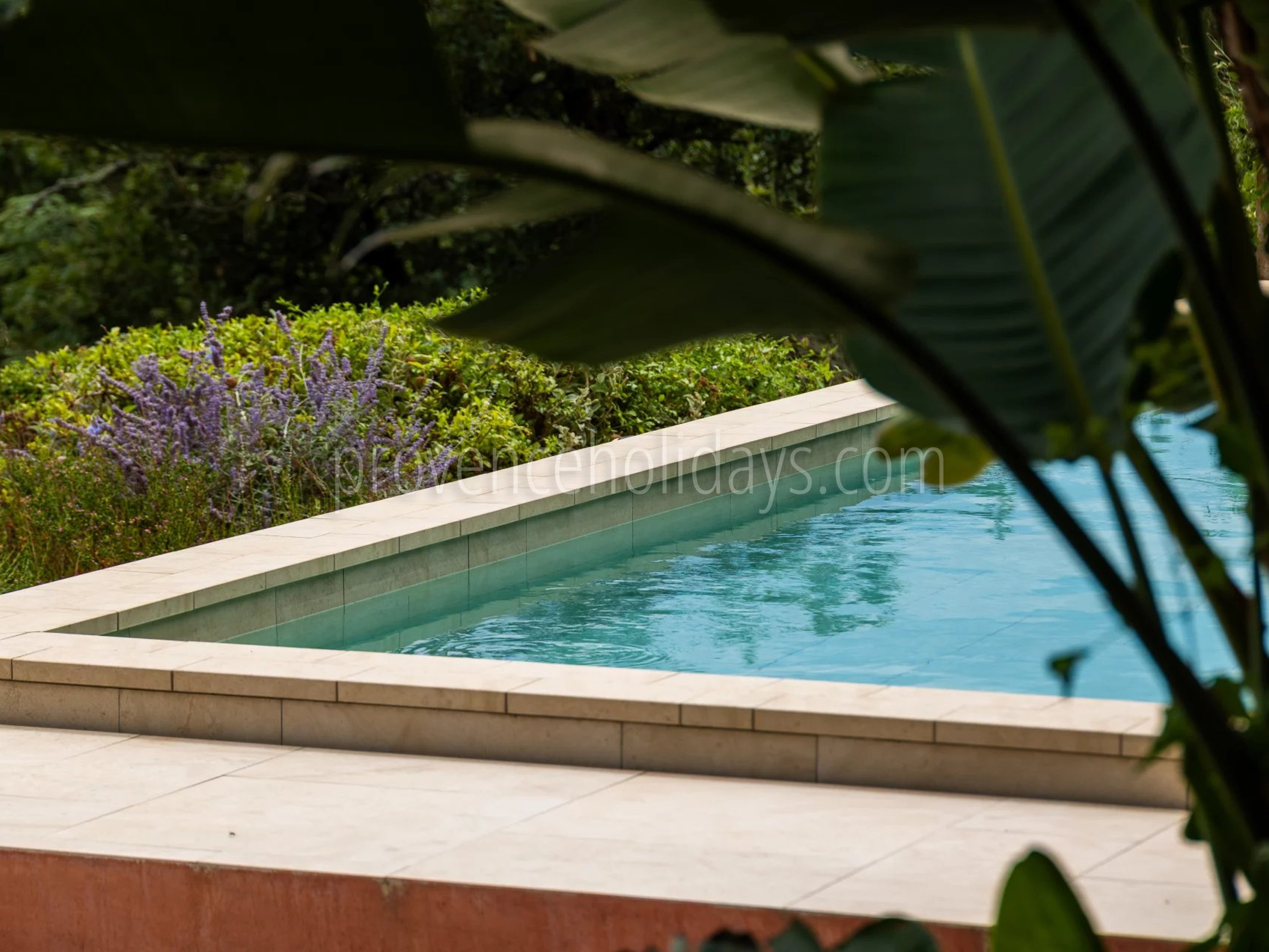 89 - Villa with sauna in La Garde-Freinet: Villa: Pool