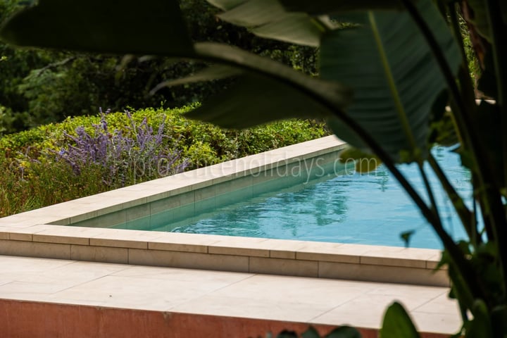 89 - Villa with sauna in La Garde-Freinet: Villa: Pool