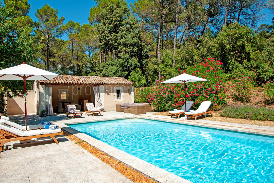 6 - Le Mas des Roses: Villa: Pool