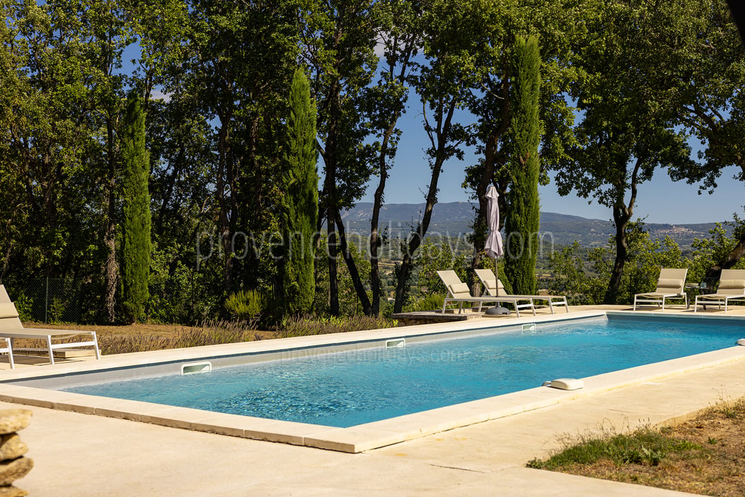 2 - Mas des Firmins: Villa: Pool