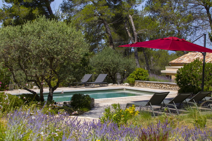 5 - Le Clos du Figuier: Villa: Pool