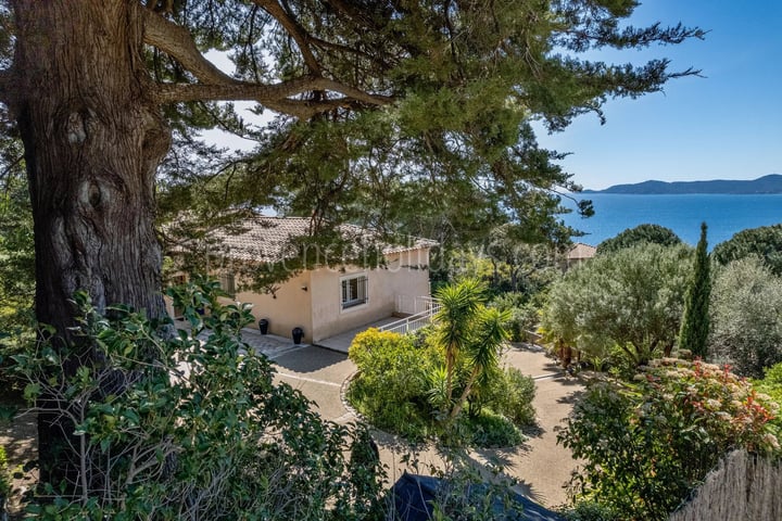 41 - Villa en bord de mer au Lavandou: Villa: Exterior