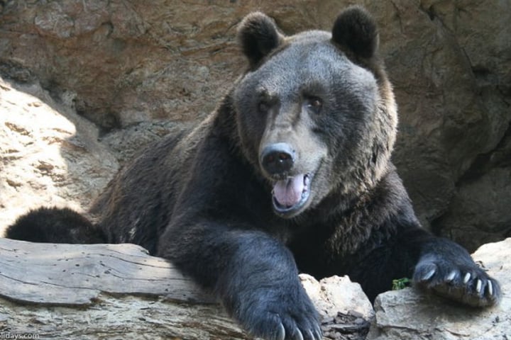 Zoo de la Barben