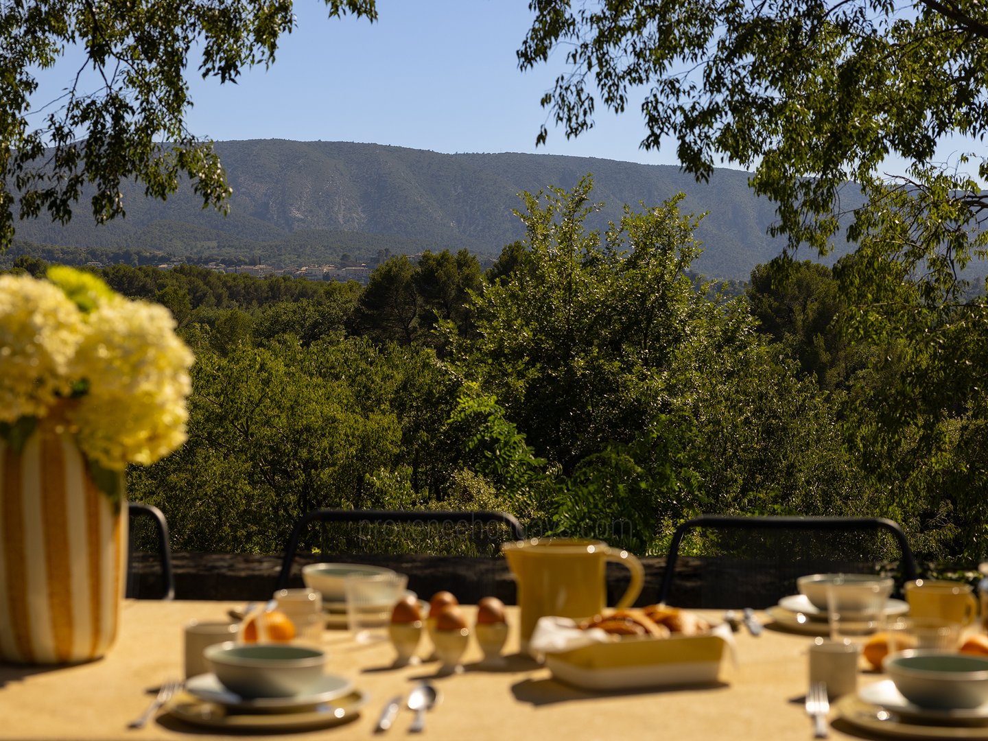58 - Grand Mas de Provence: Villa: Exterior
