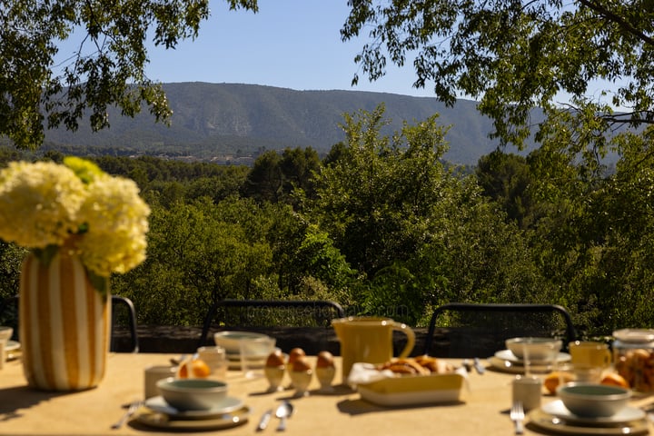 58 - Grand Mas de Provence: Villa: Exterior