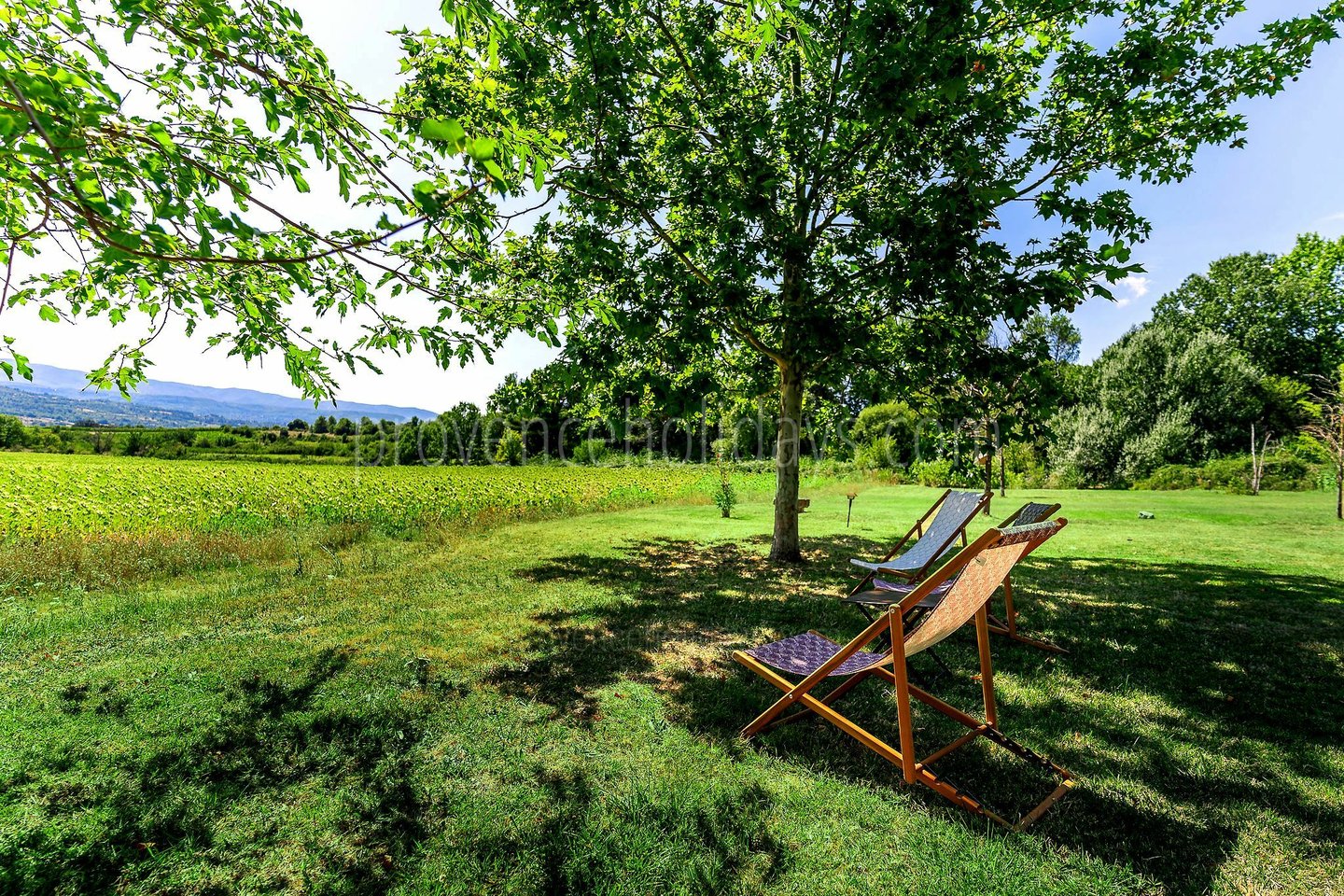 9 - La Bastide des Sources: Villa: Exterior