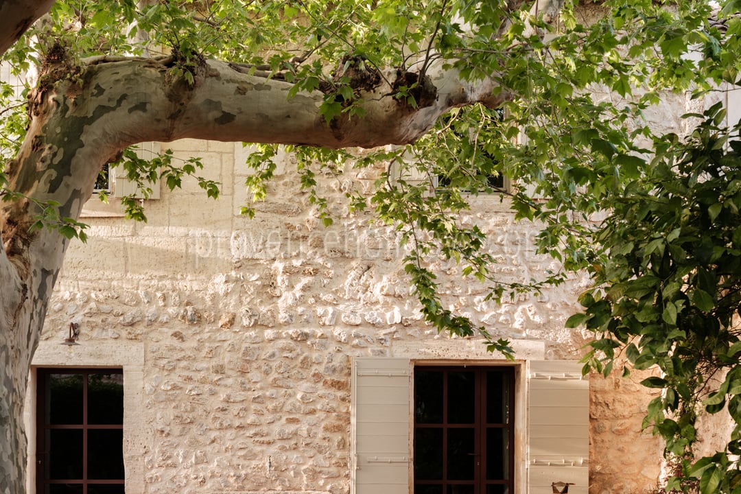 6 - Mas des Oliviers: Villa: Exterior
