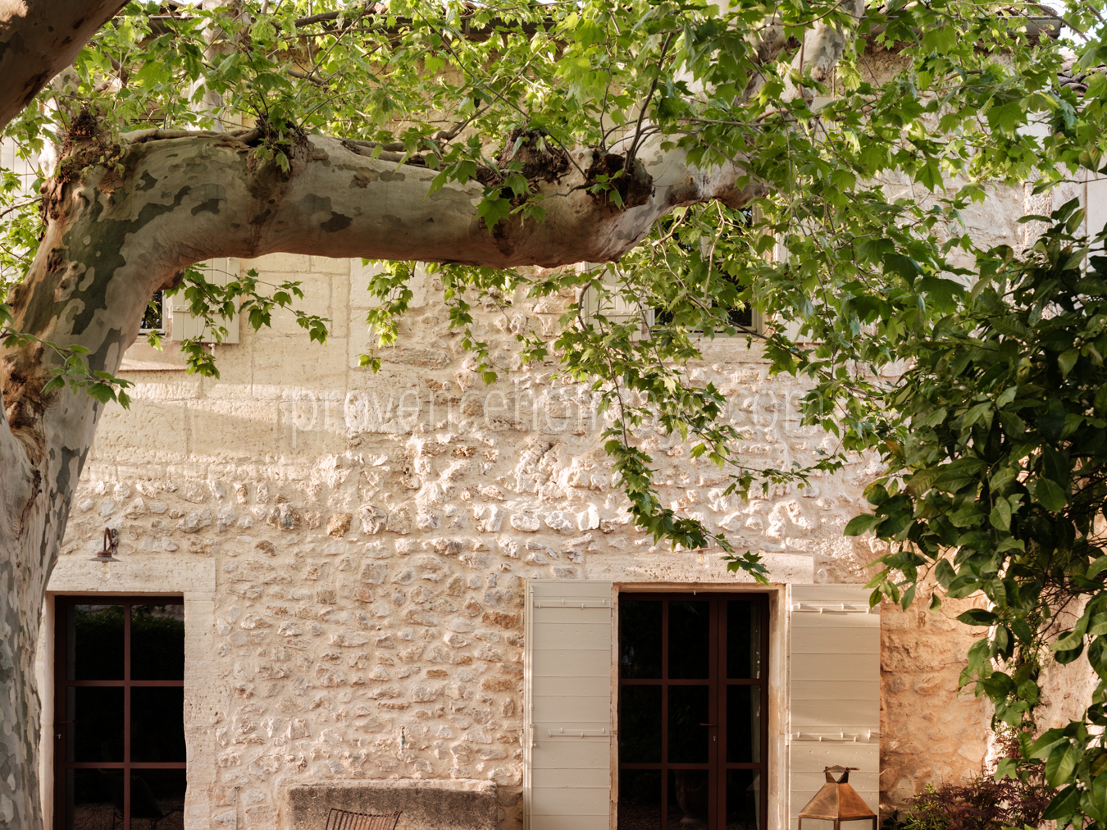 6 - Mas des Oliviers: Villa: Exterior