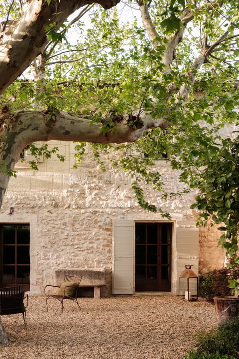 6 - Mas des Oliviers: Villa: Exterior