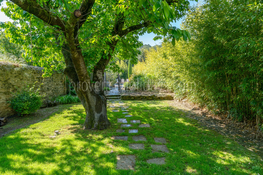 36 - Mas du Cours: Villa: Exterior