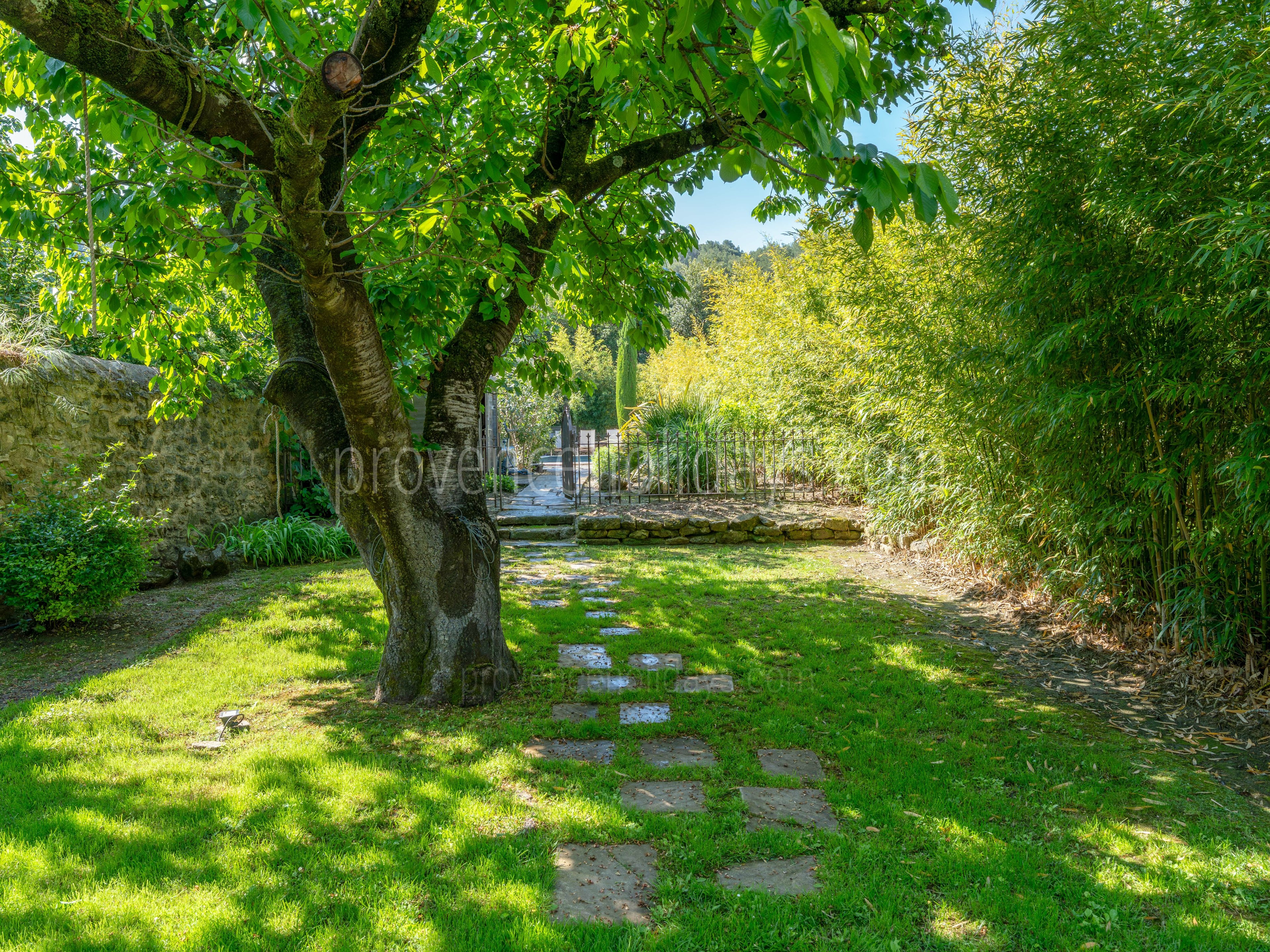 36 - Mas du Cours: Villa: Exterior